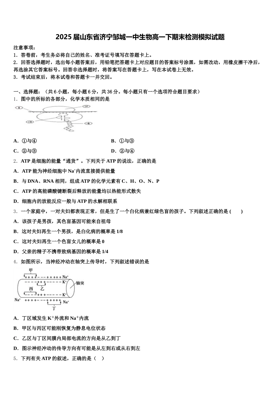 2025届山东省济宁邹城一中生物高一下期末检测模拟试题含解析_第1页