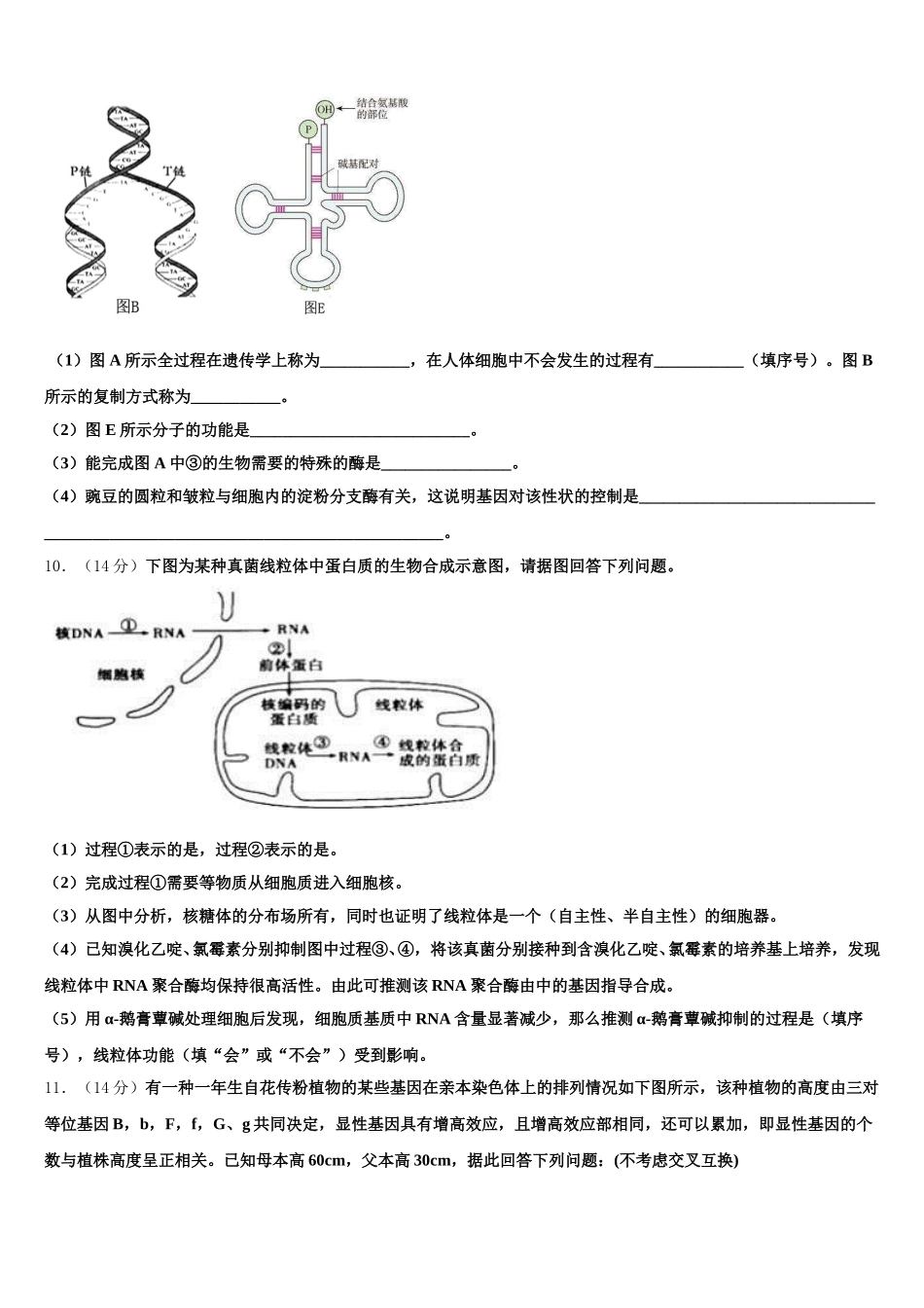 山东省昌乐一中2025届高一生物第二学期期末质量检测试题含解析_第3页