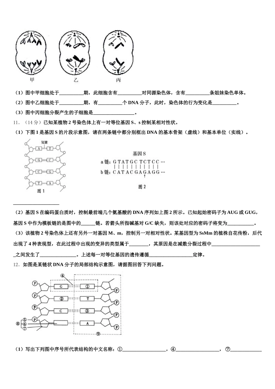 山东省德州市陵城一中2025年生物高一下期末统考模拟试题含解析_第3页