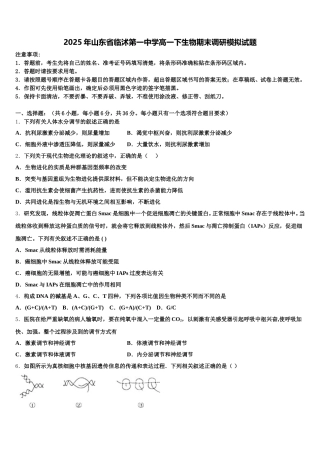 2025年山东省临沭第一中学高一下生物期末调研模拟试题含解析
