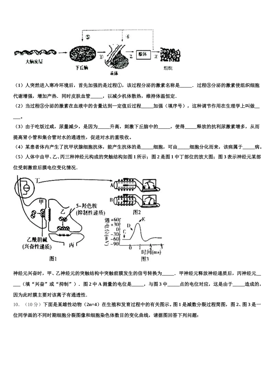 山东省枣庄市2025届生物高一第二学期期末质量跟踪监视试题含解析_第3页