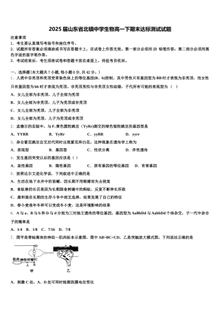 2025届山东省北镇中学生物高一下期末达标测试试题含解析