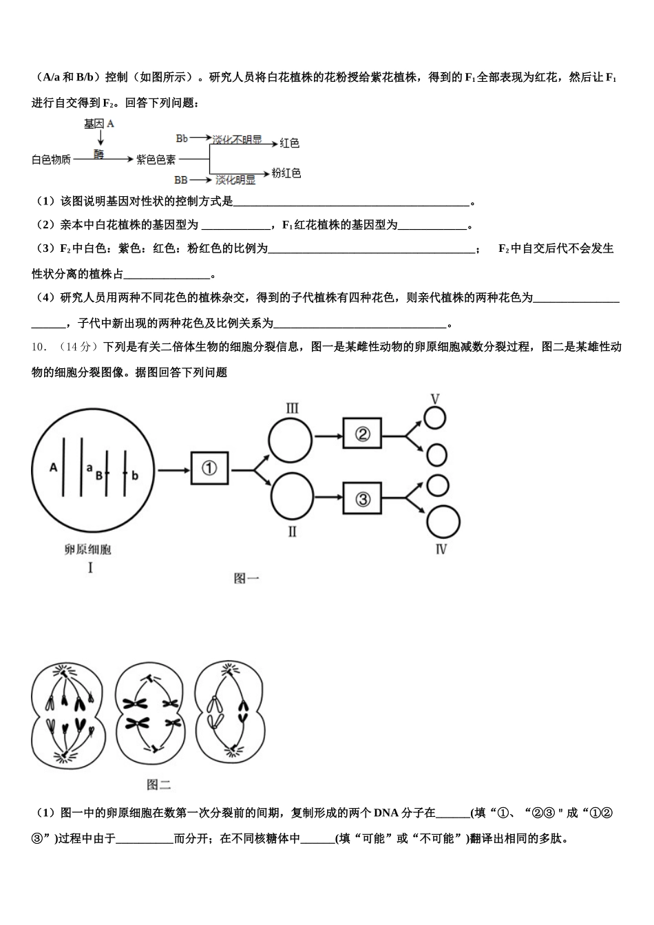 2024-2025学年山东德州市陵城区一中生物高一下期末统考模拟试题含解析_第3页