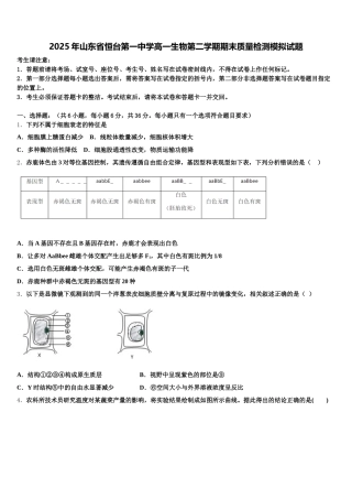 2025年山东省恒台第一中学高一生物第二学期期末质量检测模拟试题含解析