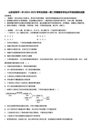 山东省邹平一中2024-2025学年生物高一第二学期期末学业水平测试模拟试题含解析