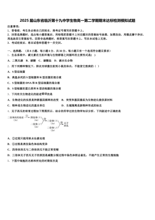 2025届山东省临沂第十九中学生物高一第二学期期末达标检测模拟试题含解析