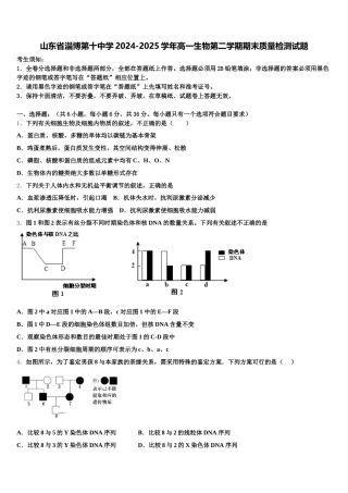 山东省淄博第十中学2024-2025学年高一生物第二学期期末质量检测试题含解析