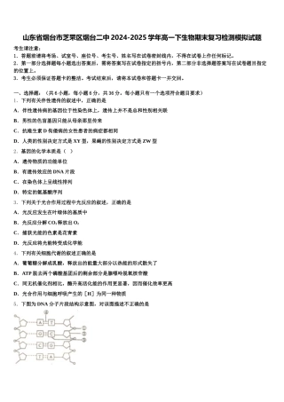 山东省烟台市芝罘区烟台二中2024-2025学年高一下生物期末复习检测模拟试题含解析