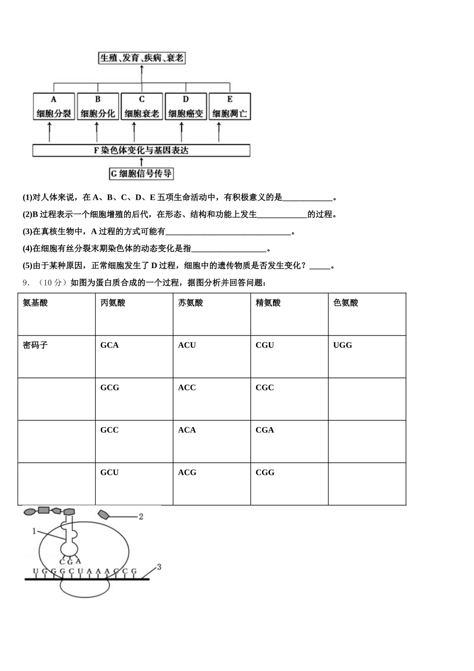 山东省济宁市济宁一中2024-2025学年高一生物第二学期期末复习检测试题含解析_第3页