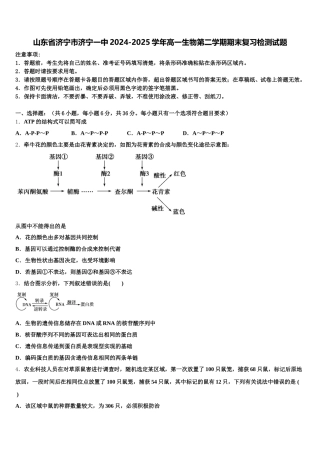 山东省济宁市济宁一中2024-2025学年高一生物第二学期期末复习检测试题含解析