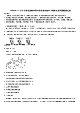 2024-2025学年山东省兖州市第一中学生物高一下期末教学质量检测试题含解析