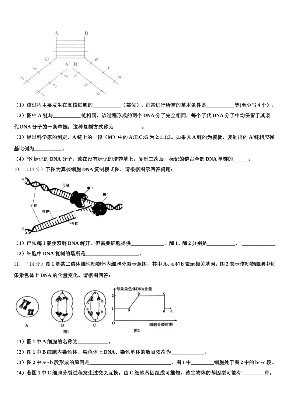 2025届山东省潍坊市寿光市现代中学生物高一下期末经典模拟试题含解析_第3页
