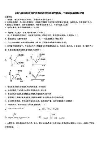 2025届山东省潍坊市寿光市现代中学生物高一下期末经典模拟试题含解析