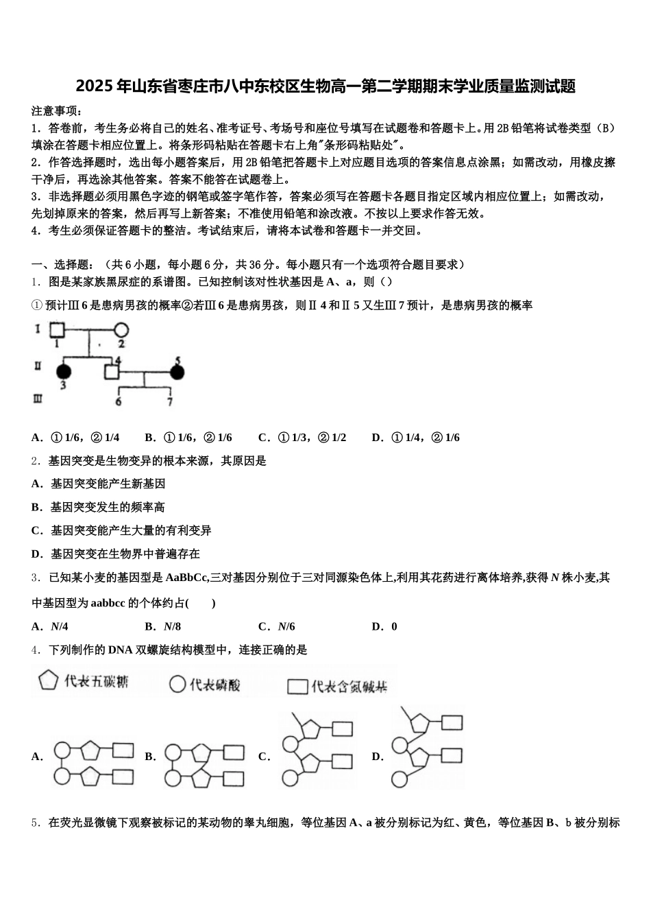 2025年山东省枣庄市八中东校区生物高一第二学期期末学业质量监测试题含解析_第1页