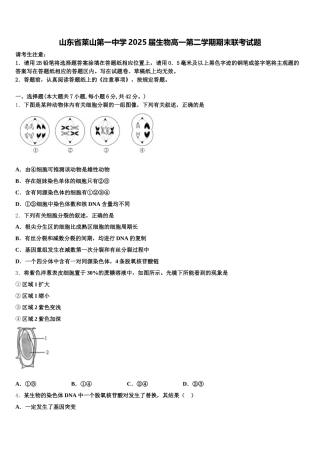 山东省莱山第一中学2025届生物高一第二学期期末联考试题含解析