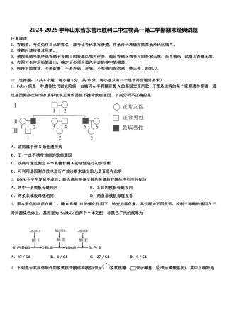 2024-2025学年山东省东营市胜利二中生物高一第二学期期末经典试题含解析