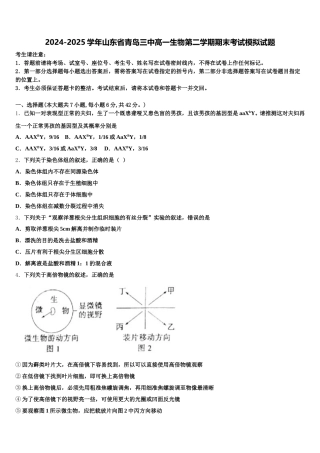 2024-2025学年山东省青岛三中高一生物第二学期期末考试模拟试题含解析