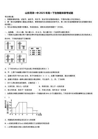 山东菏泽一中2025年高一下生物期末联考试题含解析