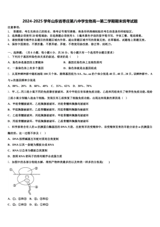2024-2025学年山东省枣庄第八中学生物高一第二学期期末统考试题含解析