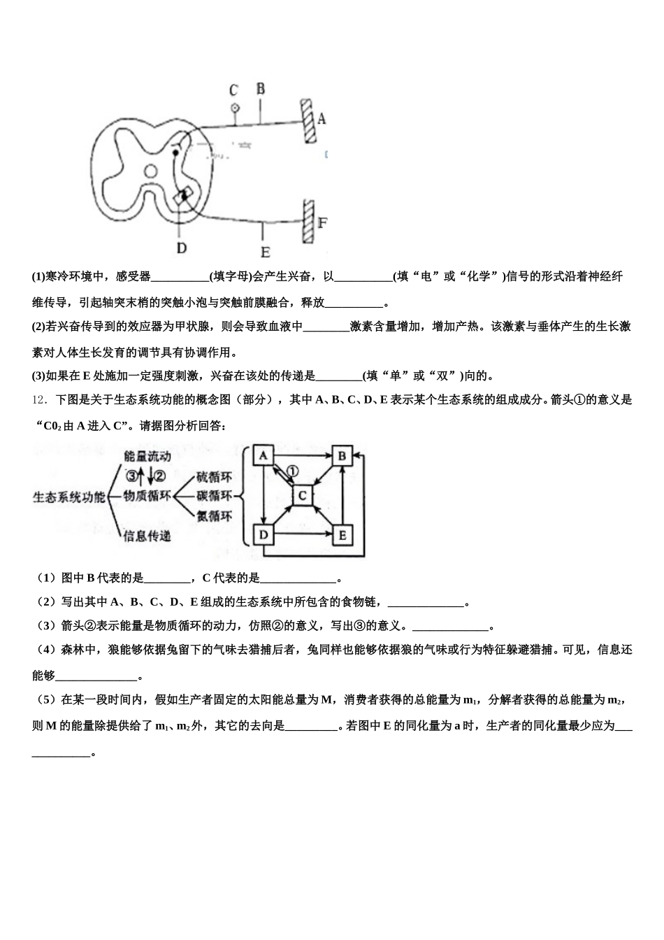 山东省青岛二中2025届生物高一第二学期期末学业水平测试模拟试题含解析_第3页