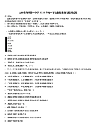 山东省菏泽第一中学2025年高一下生物期末复习检测试题含解析