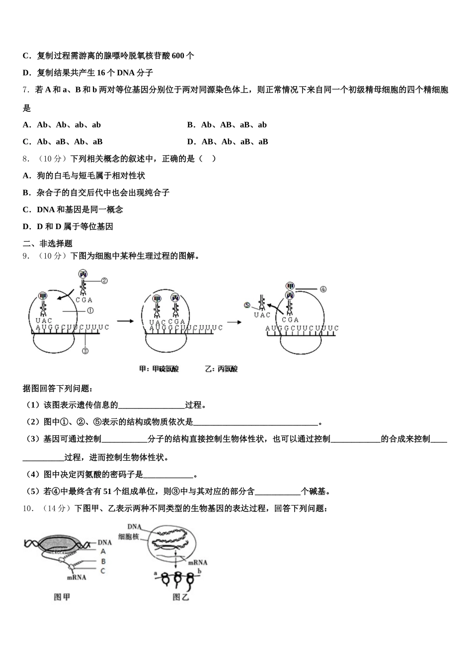 2025届山东省泰安市宁阳县四中生物高一下期末调研模拟试题含解析_第2页