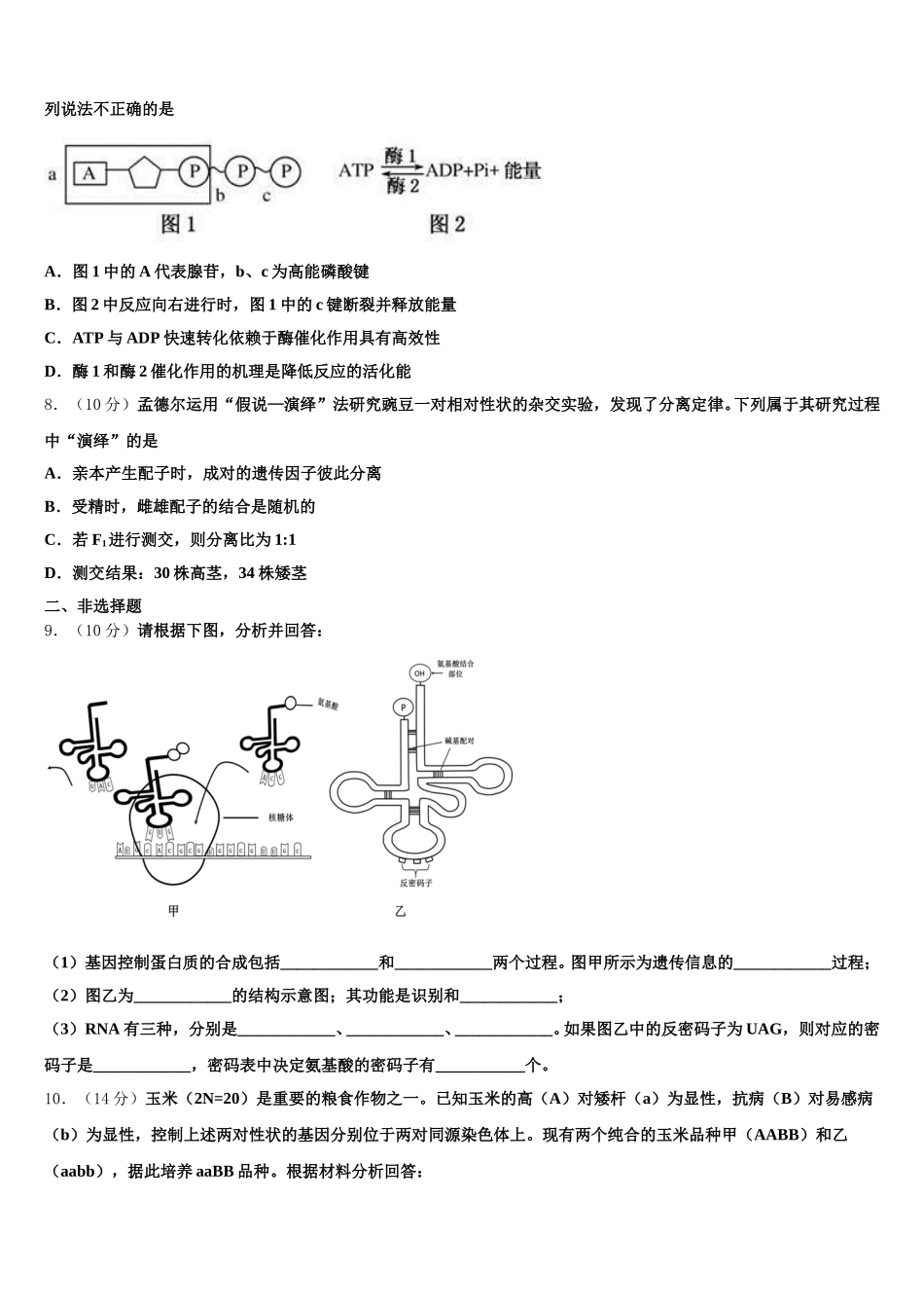 山东省枣庄市第八中学2025年生物高一第二学期期末质量跟踪监视模拟试题含解析_第2页