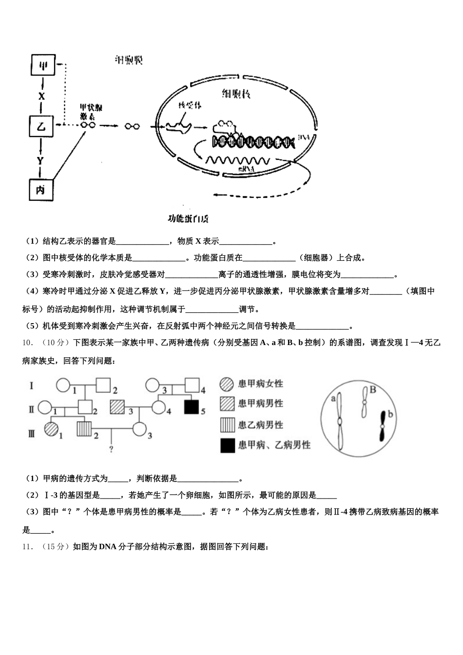 2024-2025学年山东省泰安市宁阳县第四中学高一生物第二学期期末复习检测试题含解析_第3页
