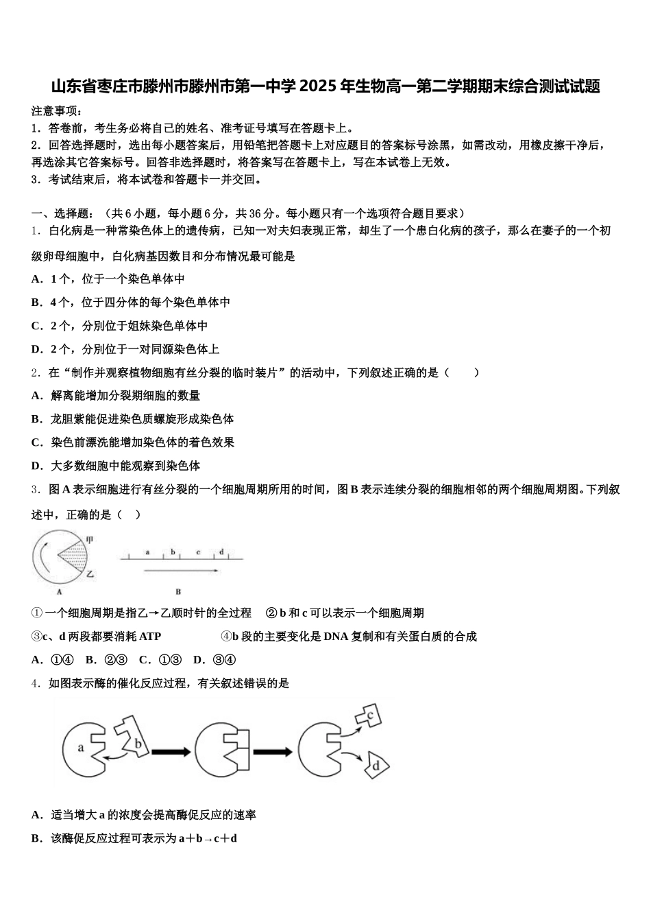 山东省枣庄市滕州市滕州市第一中学2025年生物高一第二学期期末综合测试试题含解析_第1页