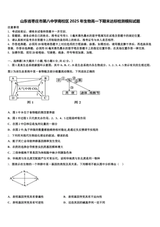 山东省枣庄市第八中学南校区2025年生物高一下期末达标检测模拟试题含解析