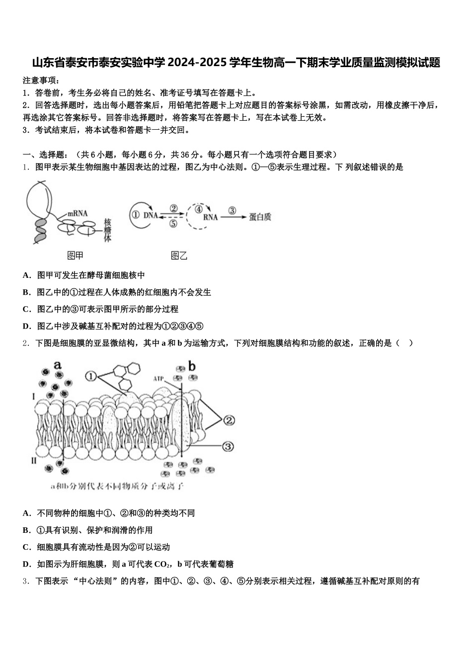 山东省泰安市泰安实验中学2024-2025学年生物高一下期末学业质量监测模拟试题含解析_第1页