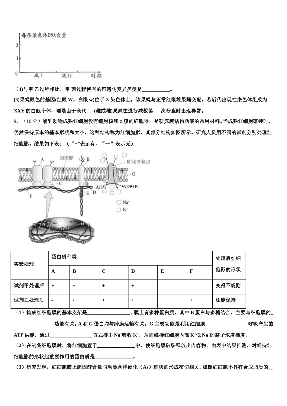 山东省淄博市第一中学2024-2025学年高一下生物期末质量检测试题含解析_第3页