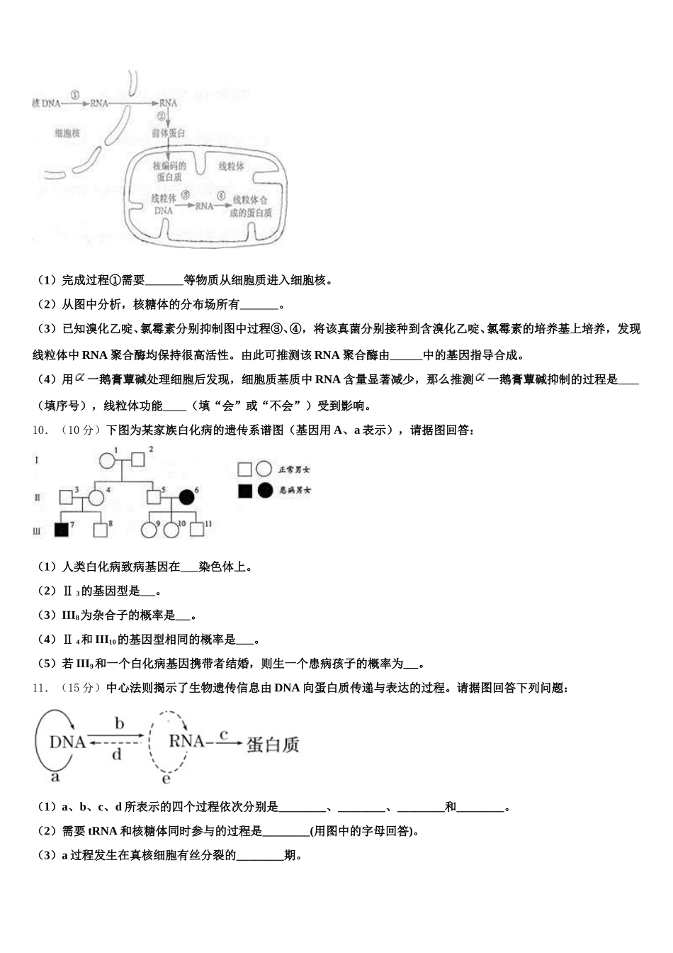 2025年山东省新泰中学生物高一下期末调研试题含解析_第3页