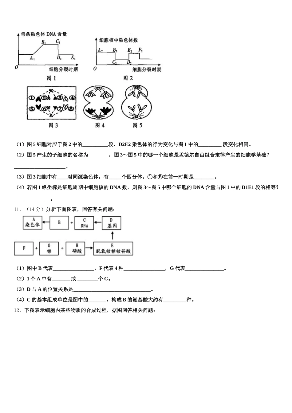 山东省莒县2025届生物高一下期末学业水平测试模拟试题含解析_第3页