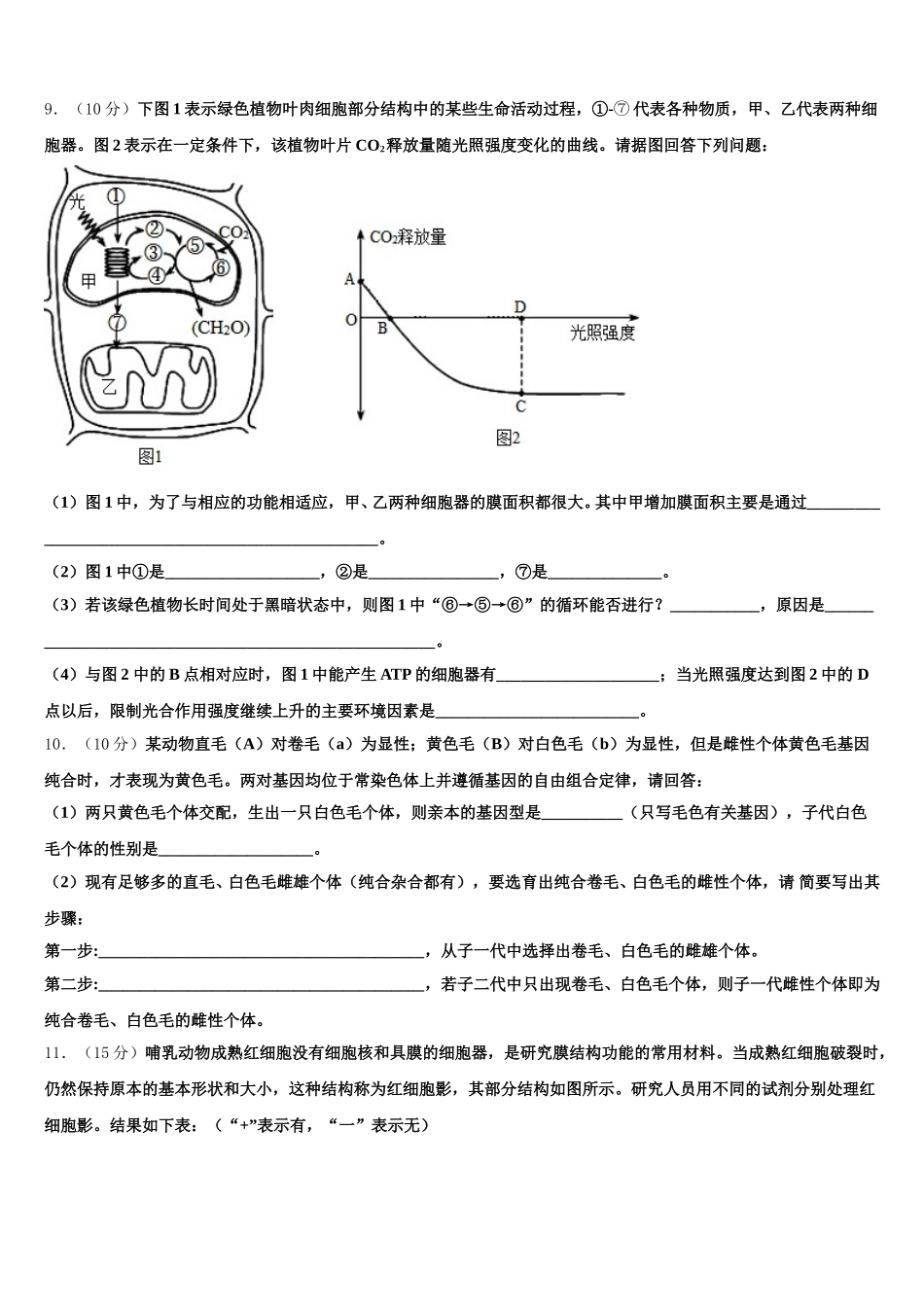 2025届枣庄市第三中学生物高一下期末达标检测试题含解析_第3页