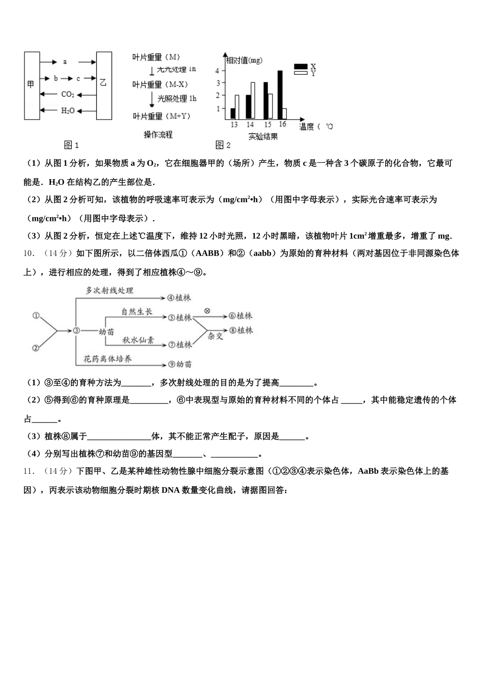 山东省泰安市泰安一中2025年高一下生物期末质量跟踪监视试题含解析_第3页