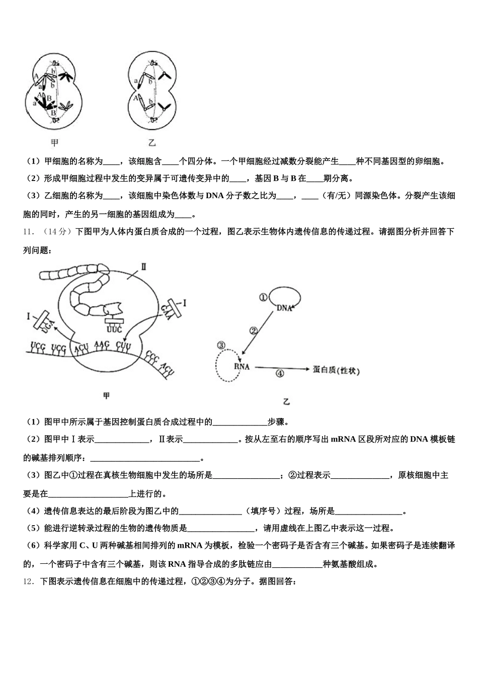 山东省德州市第一中学2025届高一生物第二学期期末教学质量检测模拟试题含解析_第3页