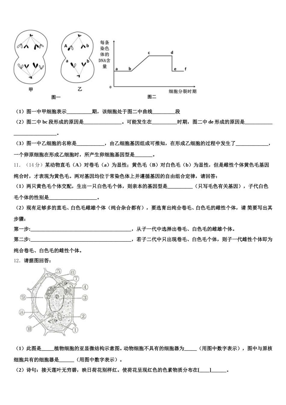 山东省邹城市一中2025届高一下生物期末综合测试试题含解析_第3页