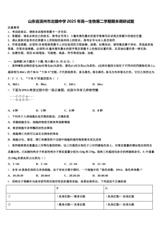 山东省滨州市北镇中学2025年高一生物第二学期期末调研试题含解析
