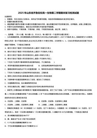 2025年山东省齐鲁名校高一生物第二学期期末复习检测试题含解析