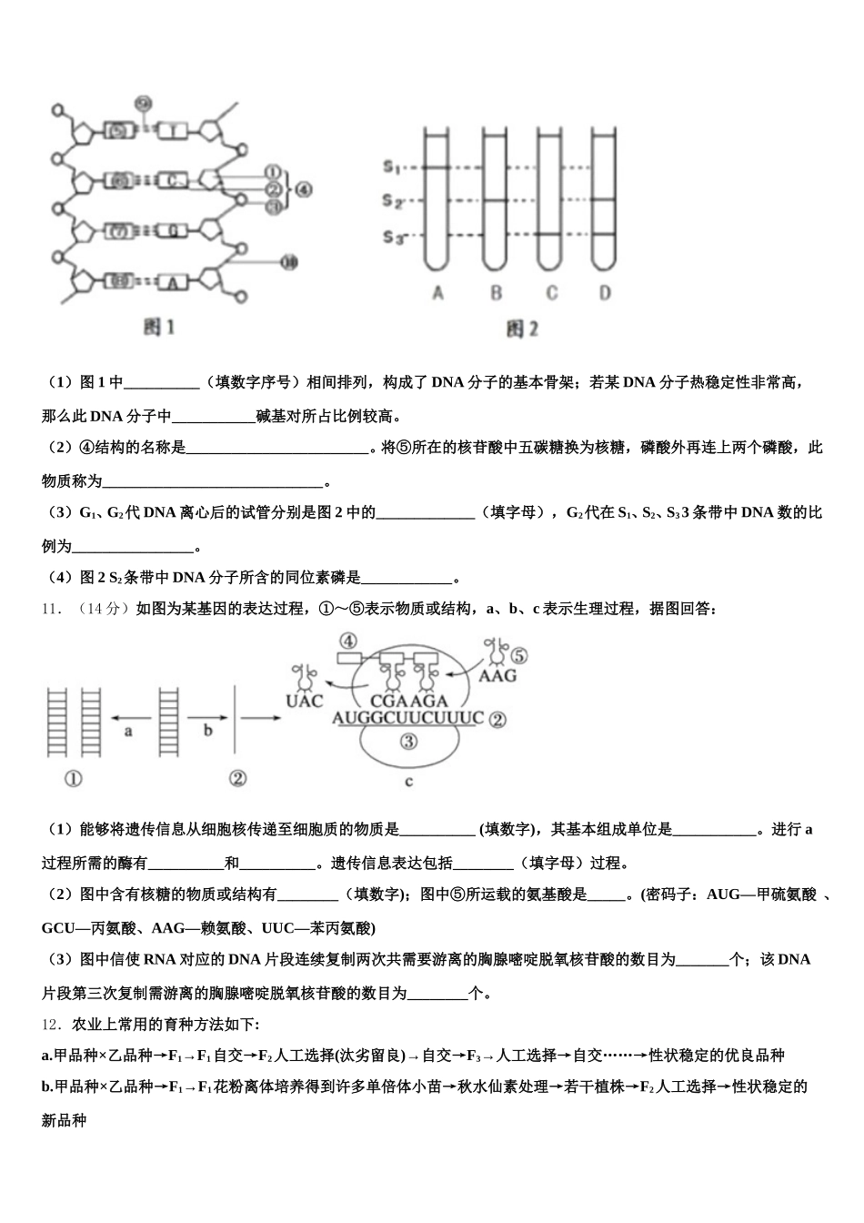 2025年山东省枣庄、滕州市高一下生物期末综合测试模拟试题含解析_第3页