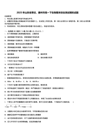 2025年山东省枣庄、滕州市高一下生物期末综合测试模拟试题含解析