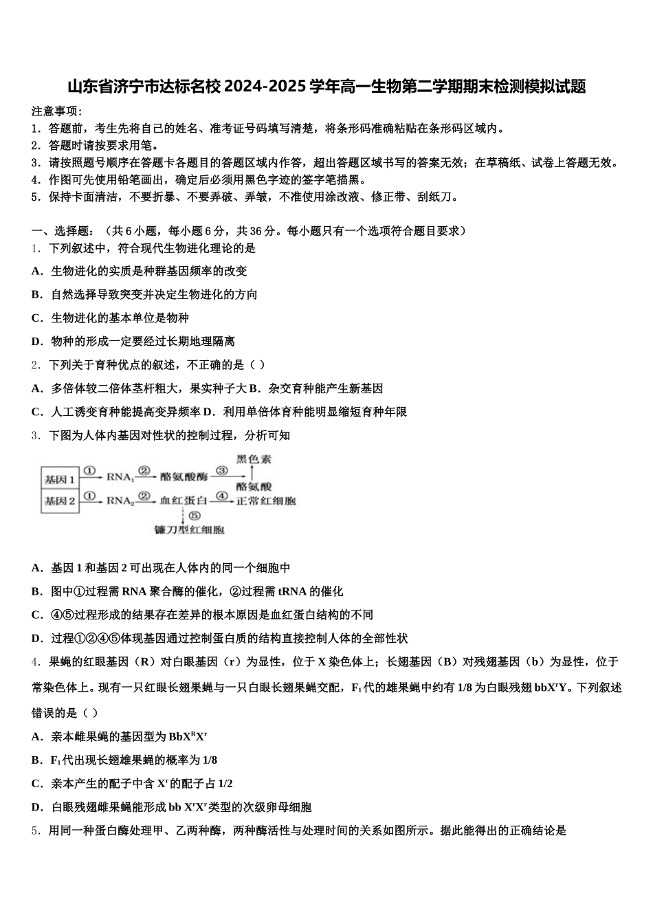 山东省济宁市达标名校2024-2025学年高一生物第二学期期末检测模拟试题含解析_第1页