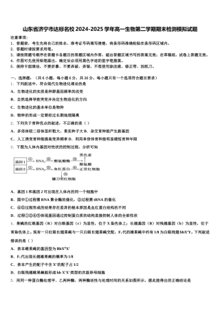 山东省济宁市达标名校2024-2025学年高一生物第二学期期末检测模拟试题含解析