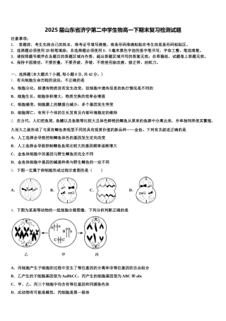 2025届山东省济宁第二中学生物高一下期末复习检测试题含解析