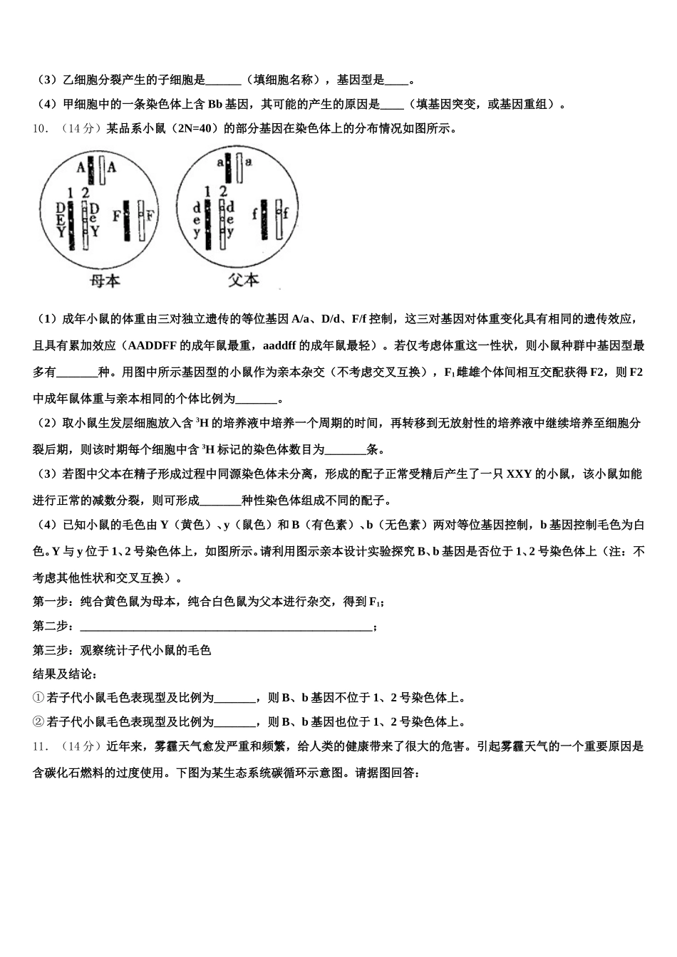 2025届山东省菏泽市巨野县第一中学生物高一下期末教学质量检测模拟试题含解析_第3页