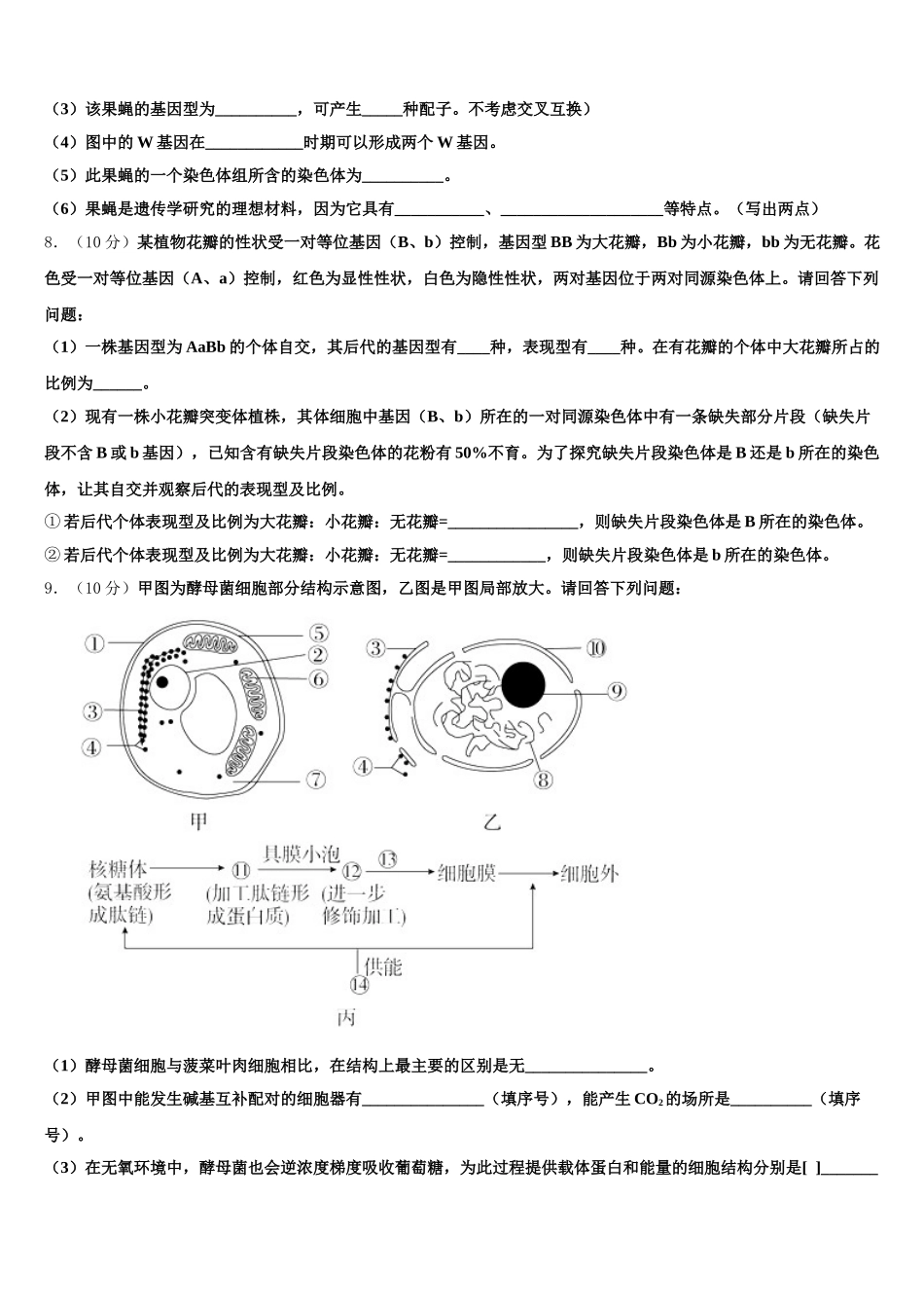 2024-2025学年山东省枣庄市部分重点高中高一下生物期末学业质量监测模拟试题含解析_第3页