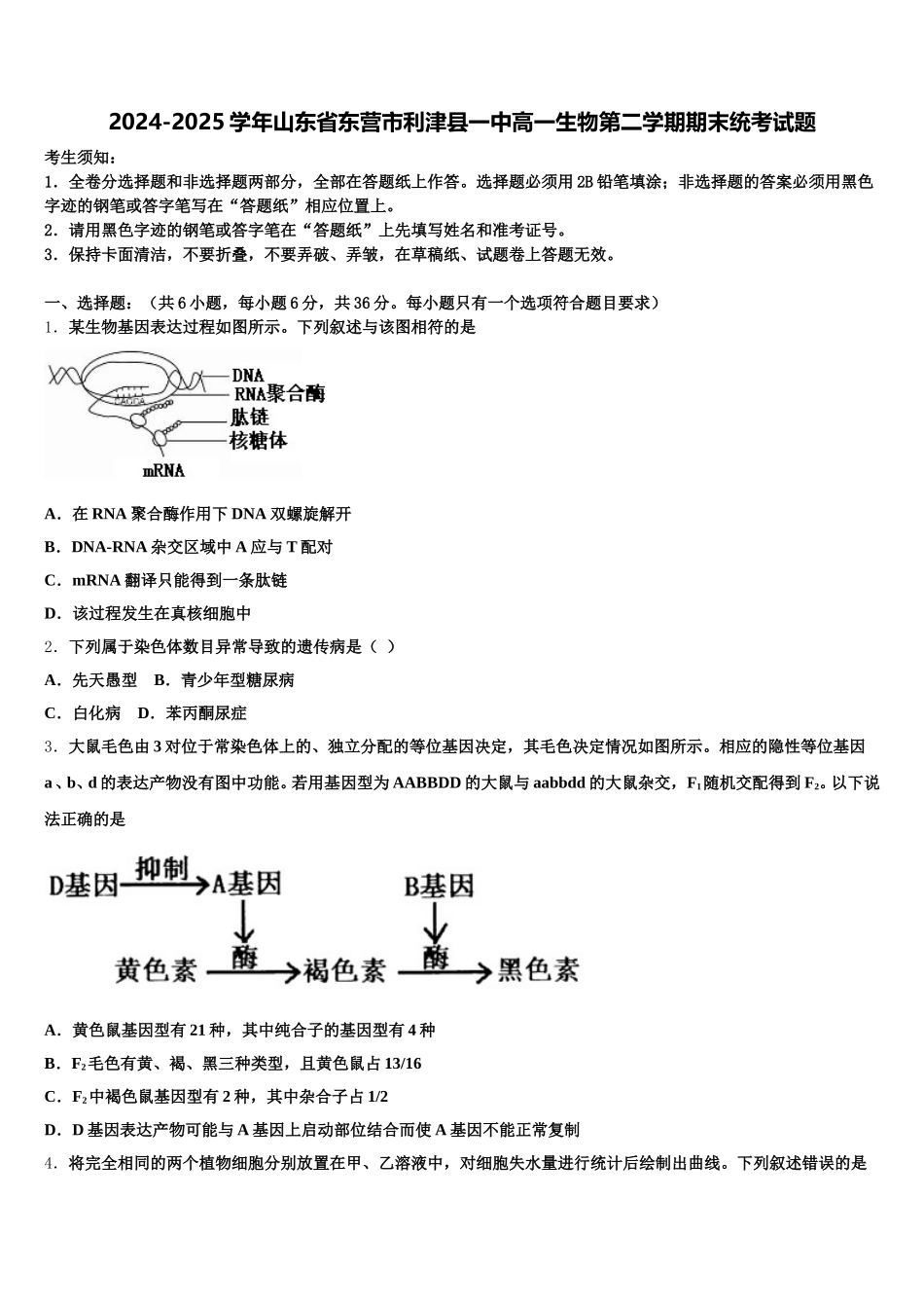 2024-2025学年山东省东营市利津县一中高一生物第二学期期末统考试题含解析_第1页