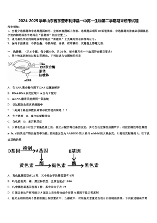 2024-2025学年山东省东营市利津县一中高一生物第二学期期末统考试题含解析