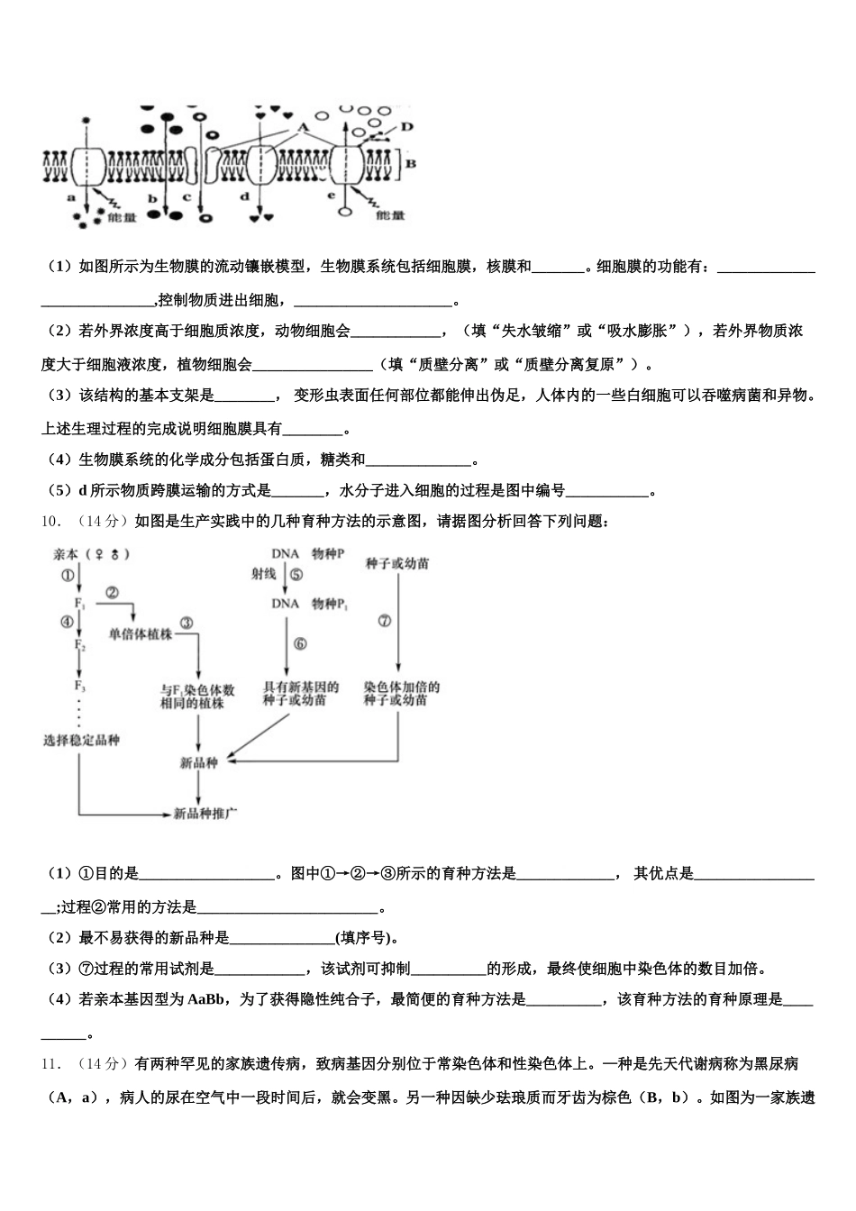 2024-2025学年山东省济南市锦泽技工学校生物高一下期末教学质量检测试题含解析_第3页